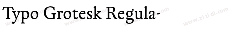 Typo Grotesk Regula字体转换 Typo Grotesk Regula字体转换